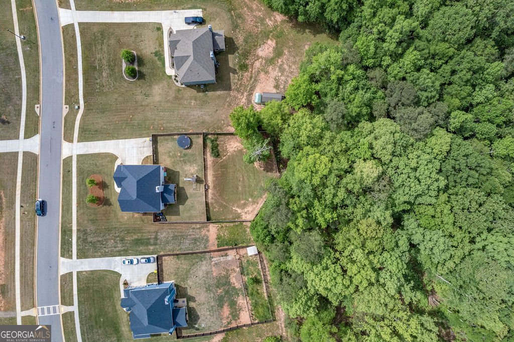 78 Winifred Way Senoia - Photo 63