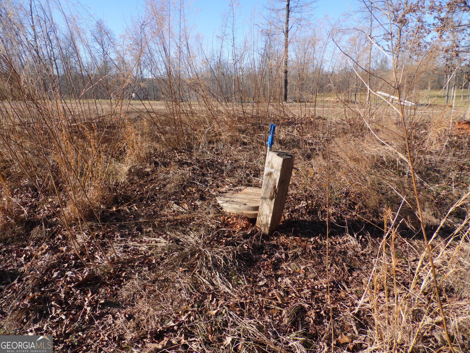 987 Garrison Road Cornelia - Photo 29