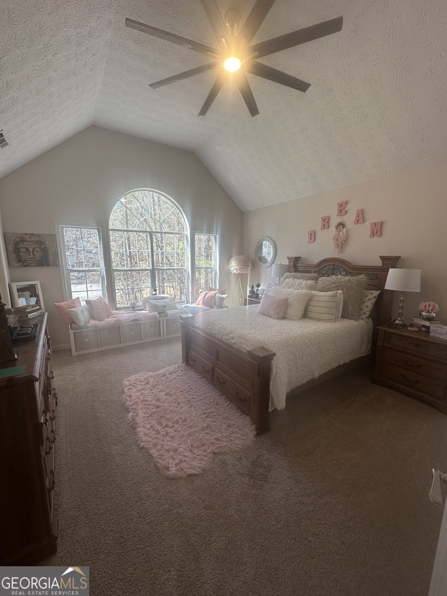 28 Border Point Sharpsburg - Photo 17