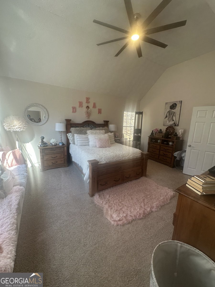 28 Border Point Sharpsburg - Photo 18