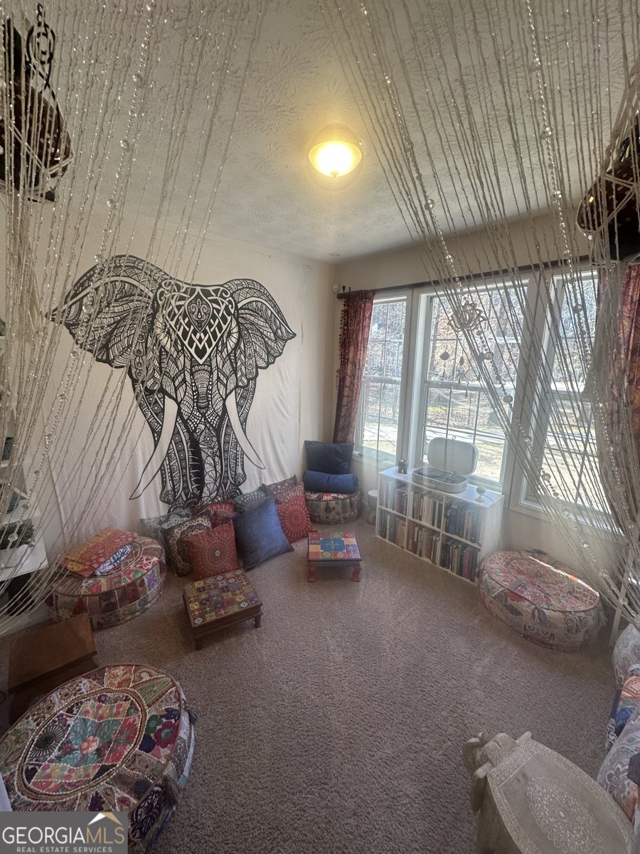 28 Border Point Sharpsburg - Photo 26