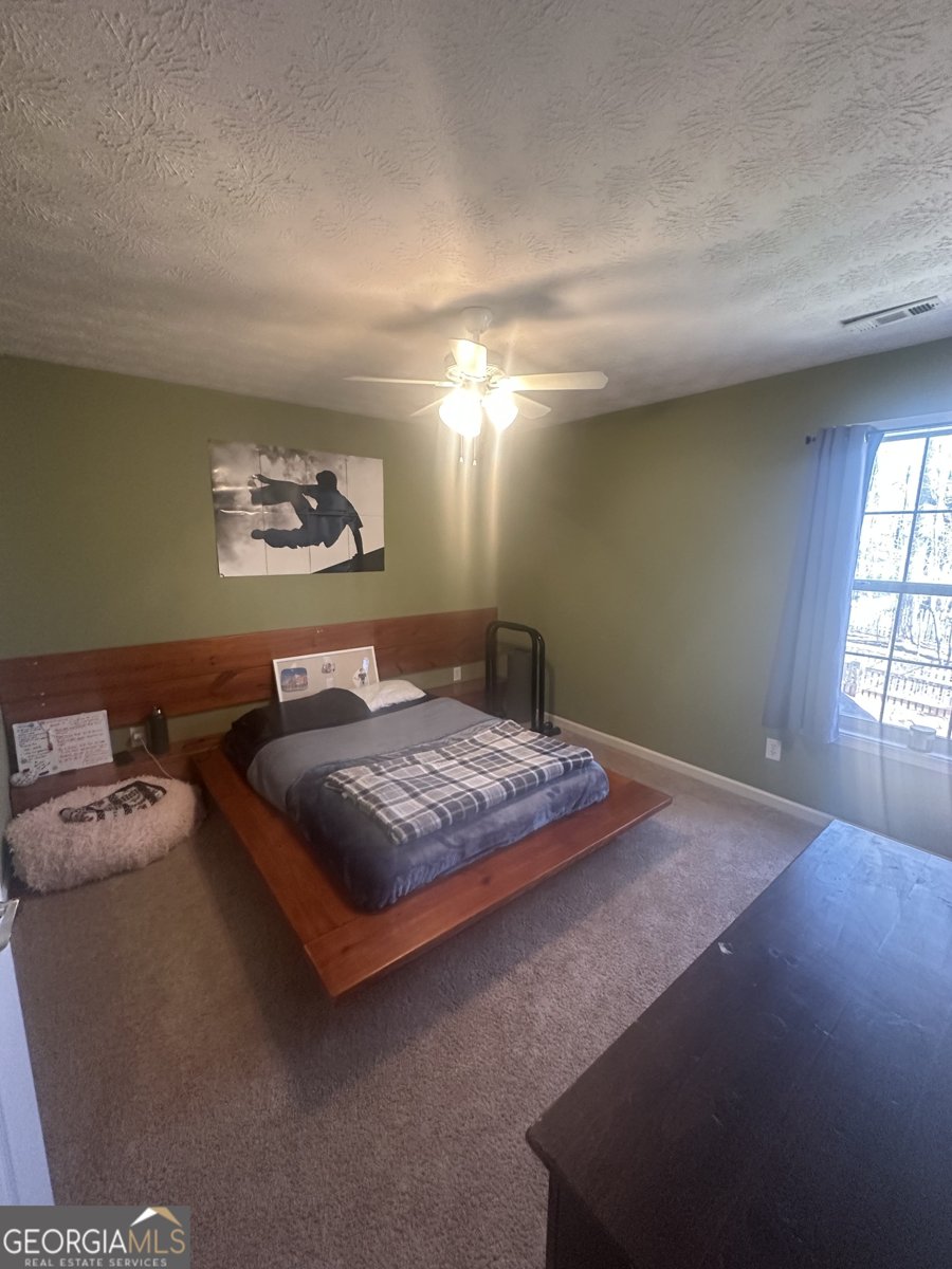 28 Border Point Sharpsburg - Photo 31