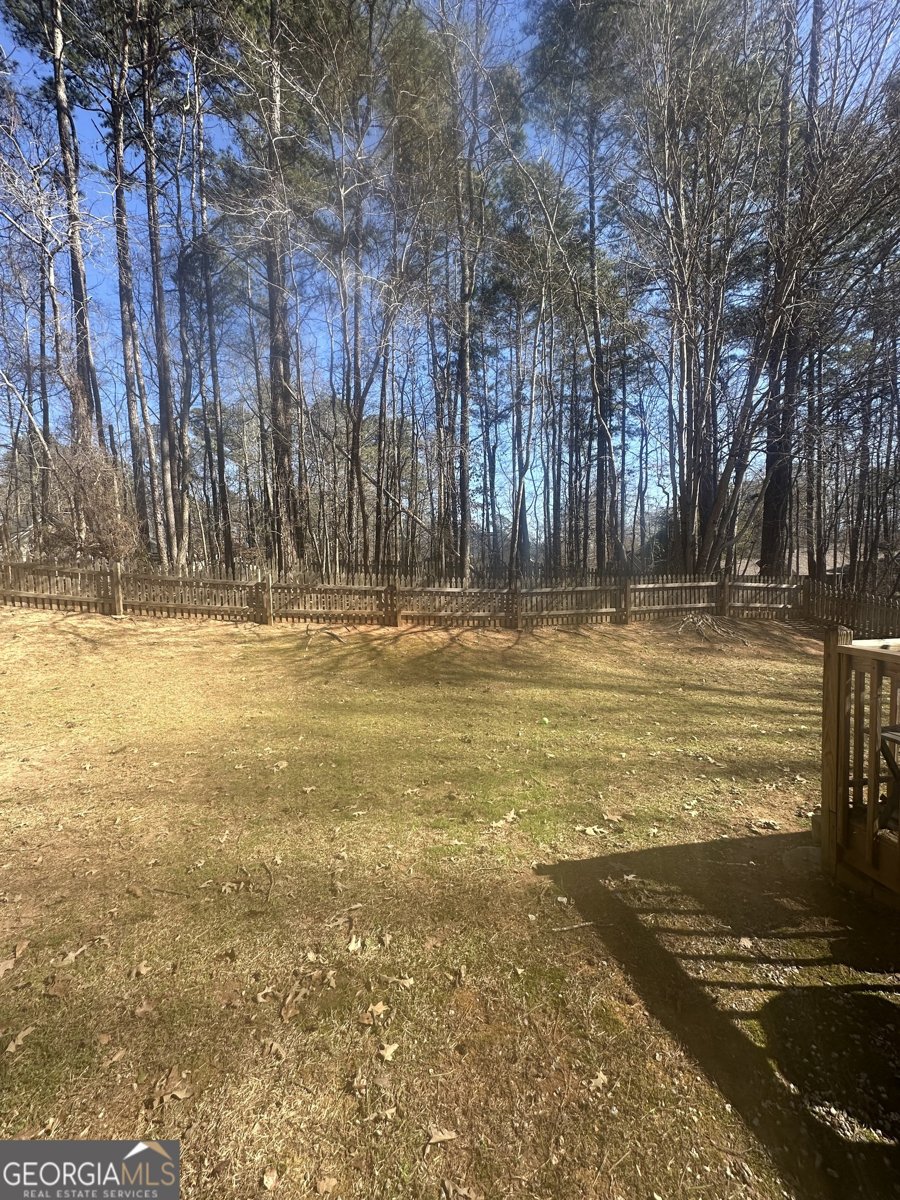 28 Border Point Sharpsburg - Photo 42