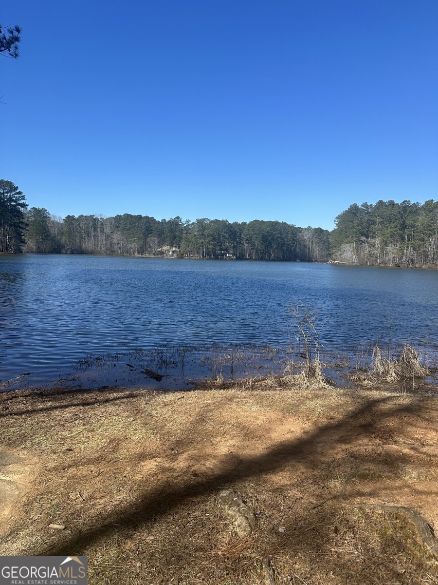 28 Border Point Sharpsburg - Photo 43