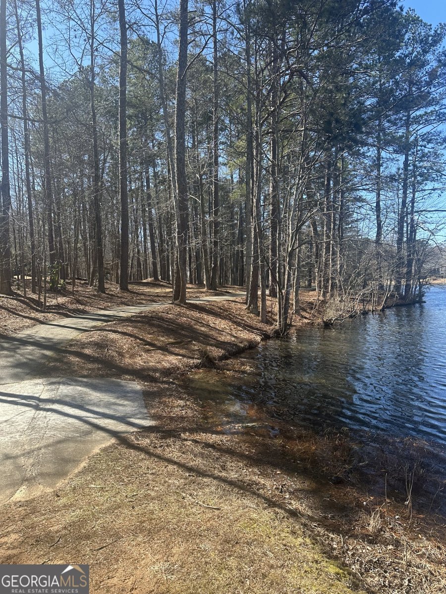 28 Border Point Sharpsburg - Photo 48