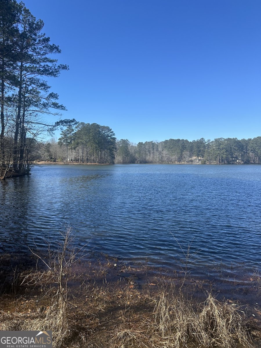 28 Border Point Sharpsburg - Photo 49