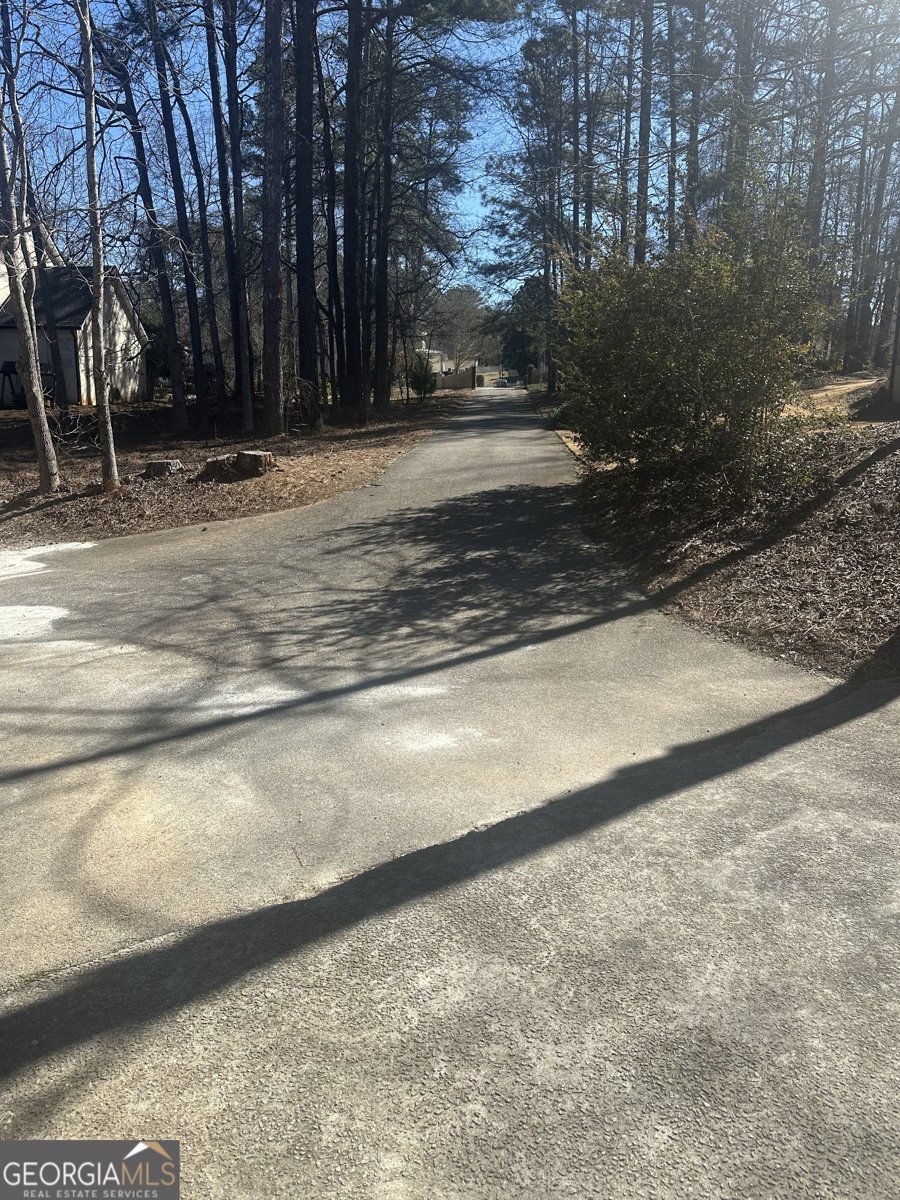 28 Border Point Sharpsburg - Photo 65