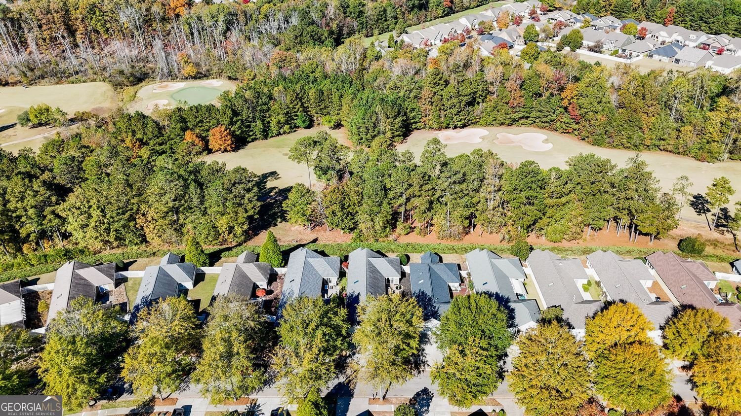 150 Cottage Club Drive Locust Grove - Photo 25