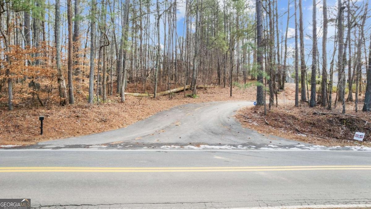 8315 Nicholson Road Cumming - Photo 53