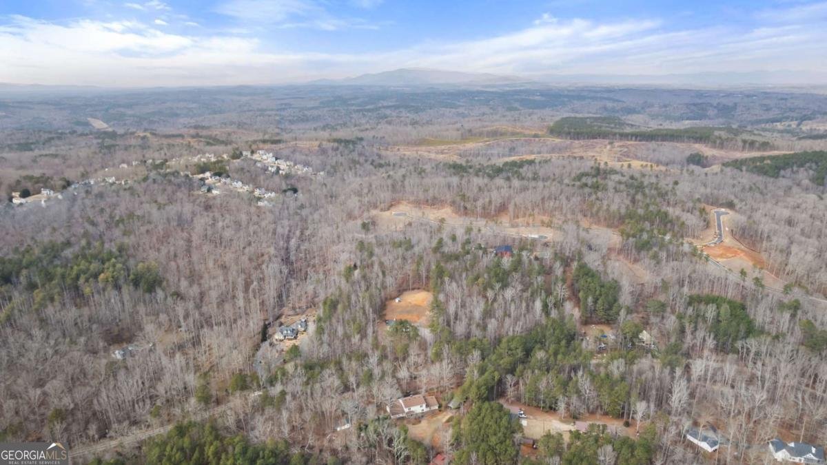 8315 Nicholson Road Cumming - Photo 55