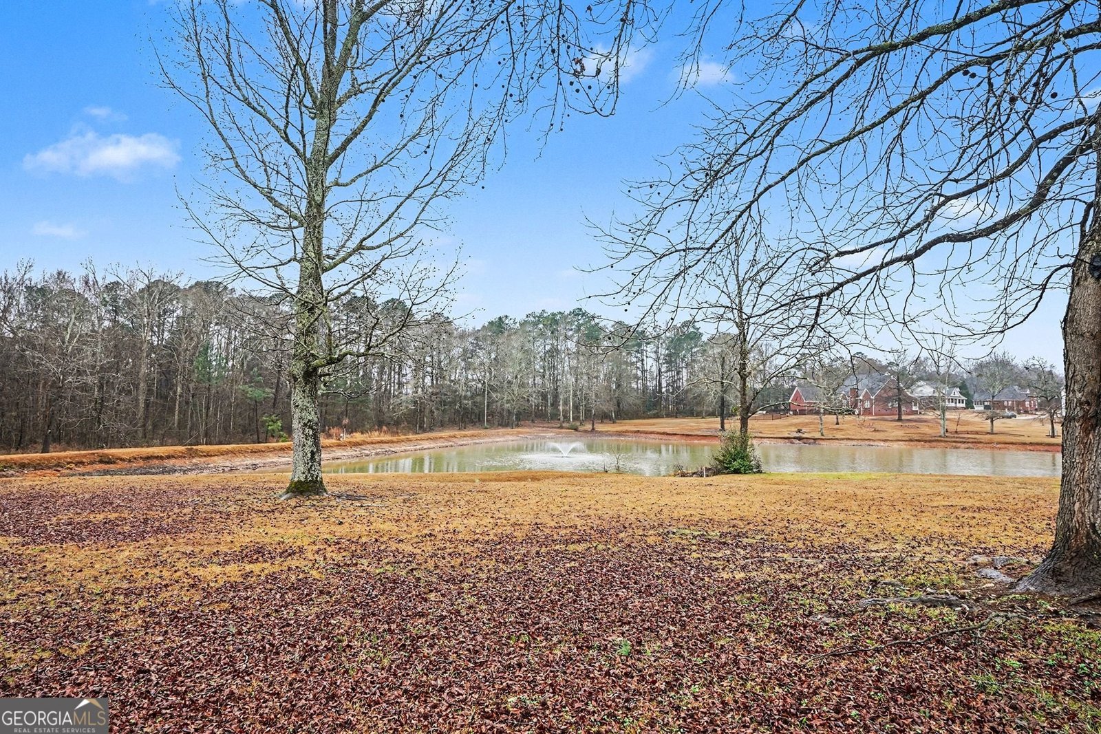 43 Wellington Drive Griffin - Photo 32