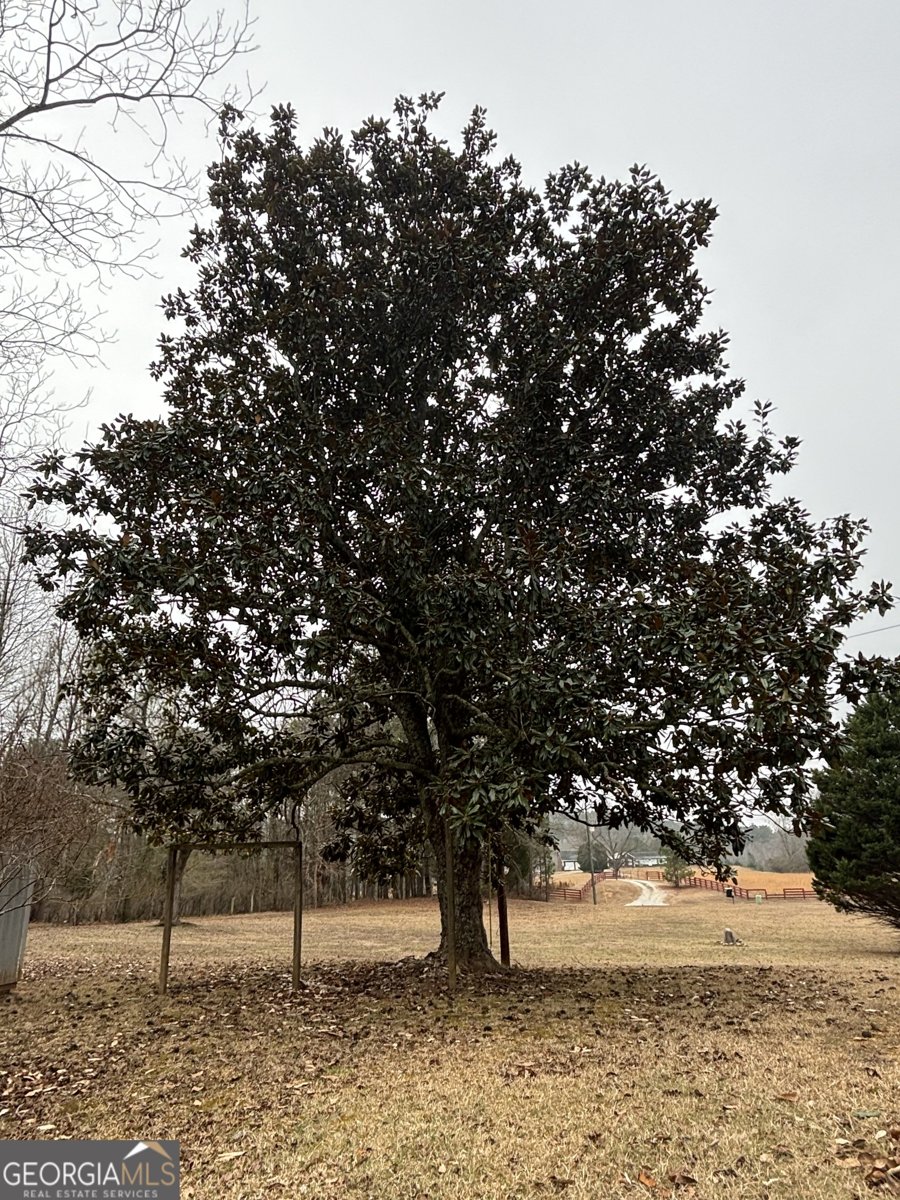 10225 Rivertown Road Fairburn - Photo 33