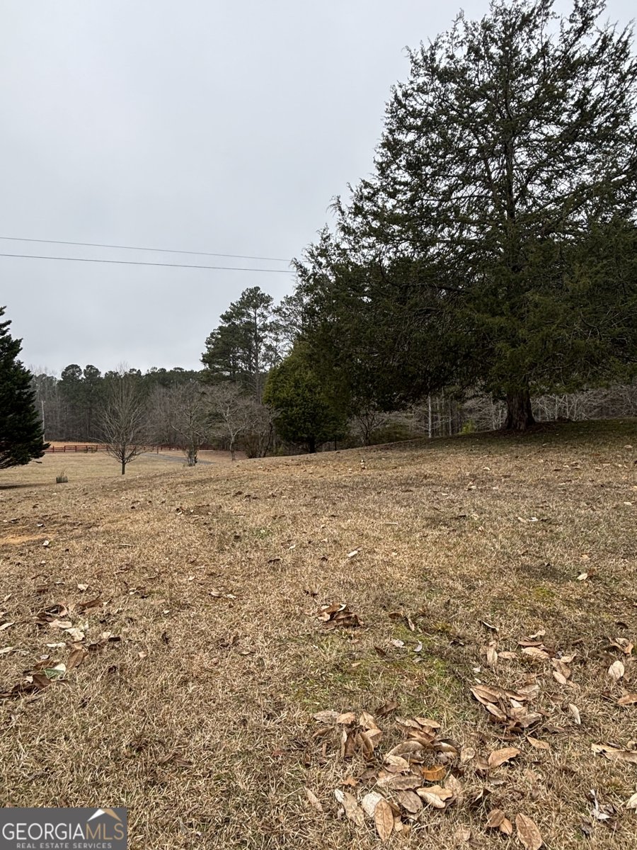 10225 Rivertown Road Fairburn - Photo 34