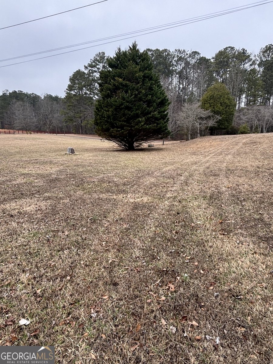 10225 Rivertown Road Fairburn - Photo 36