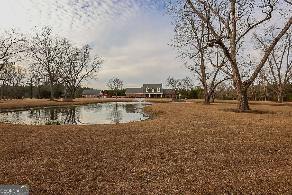 307 Chester Thomas Road Springfield - Photo 1