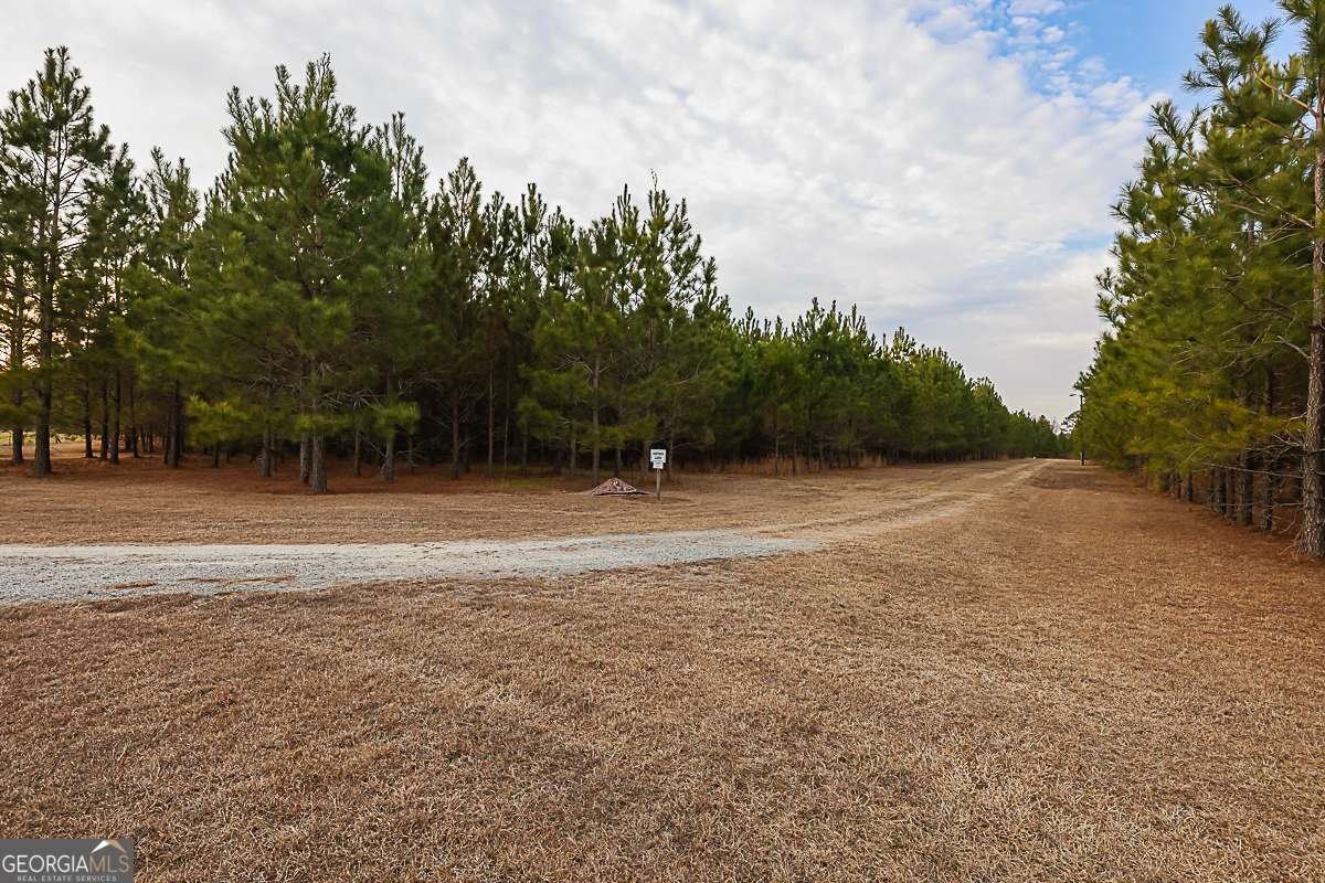 307 Chester Thomas Road Springfield - Photo 48