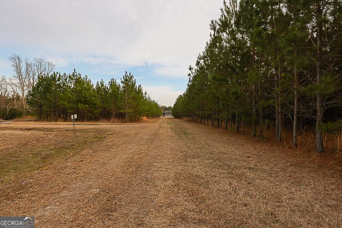 307 Chester Thomas Road Springfield - Photo 49