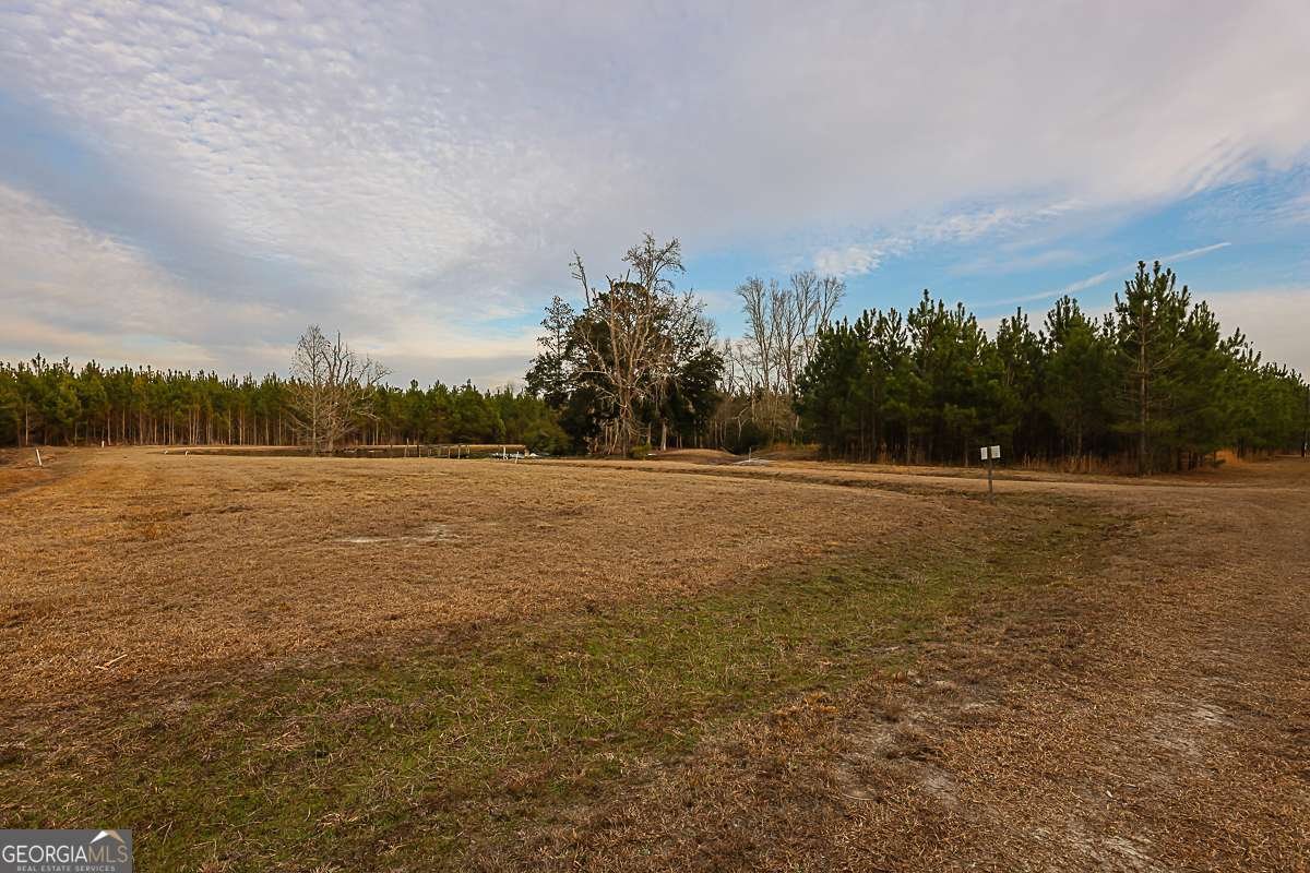 307 Chester Thomas Road Springfield - Photo 52