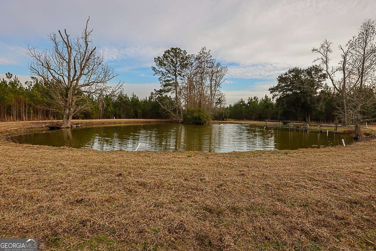 307 Chester Thomas Road Springfield - Photo 53