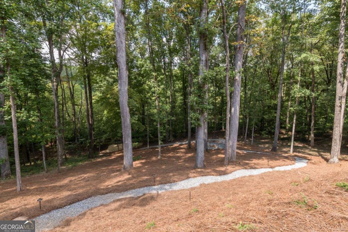 402 Timberview Court Alpharetta - Photo 20