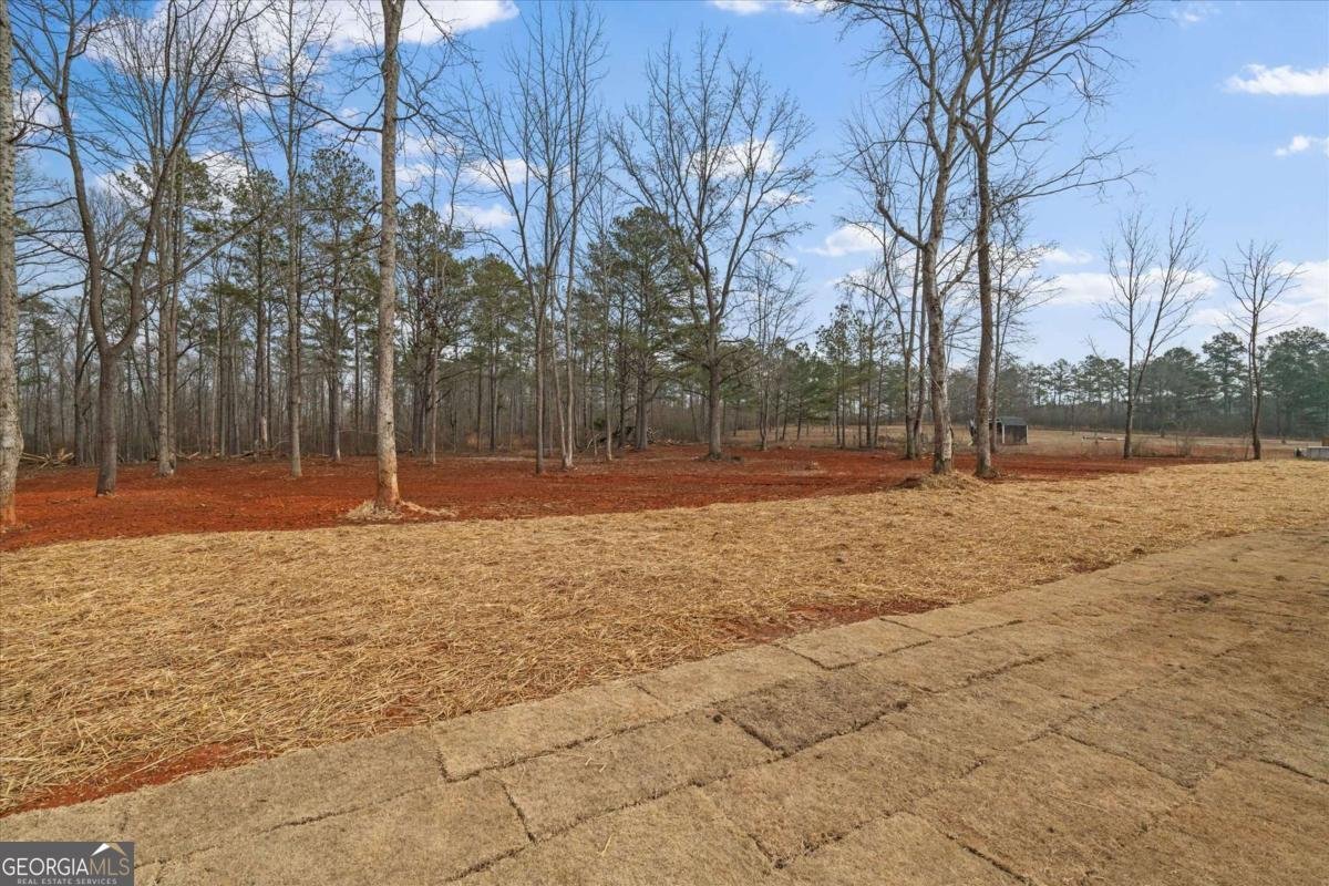 409 Lively Road Waco - Photo 46