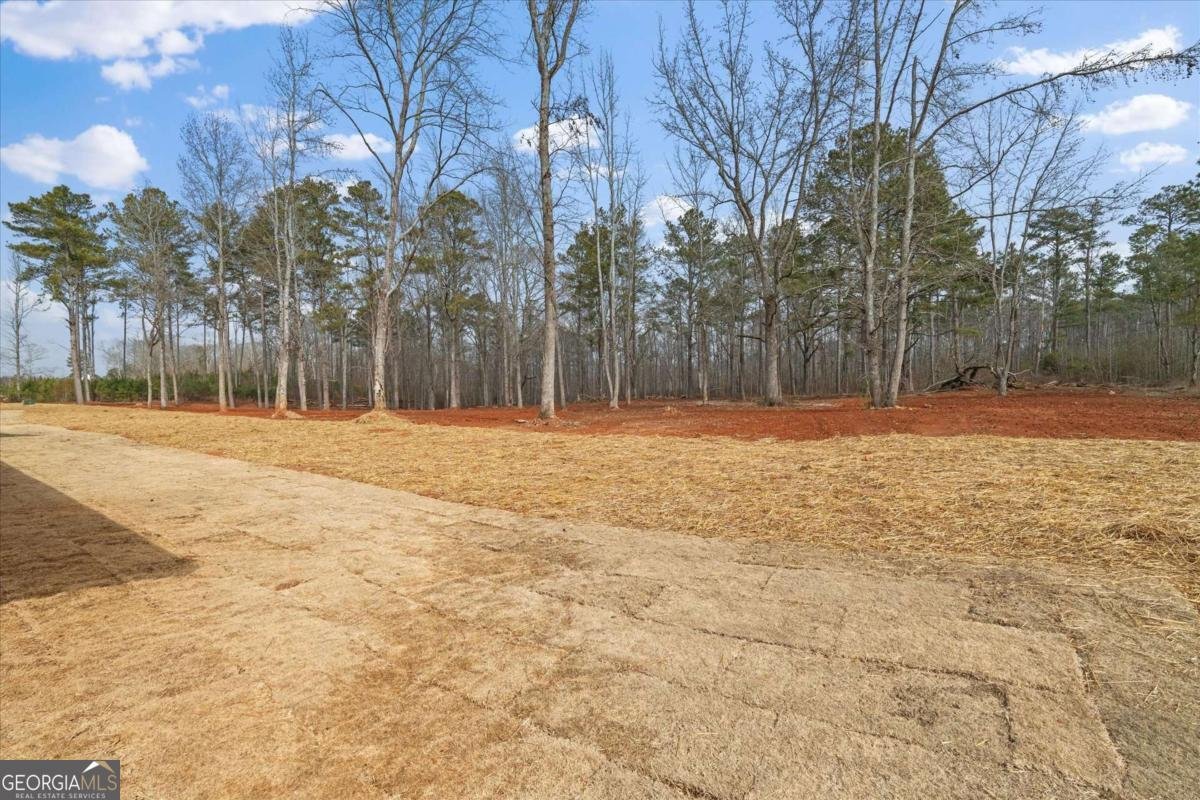 409 Lively Road Waco - Photo 47