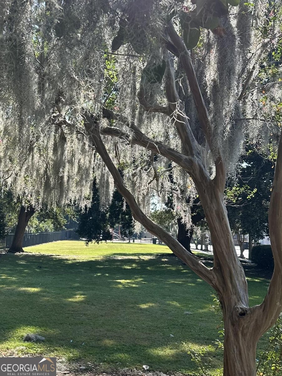 204 Liberty Street Savannah - Photo 63