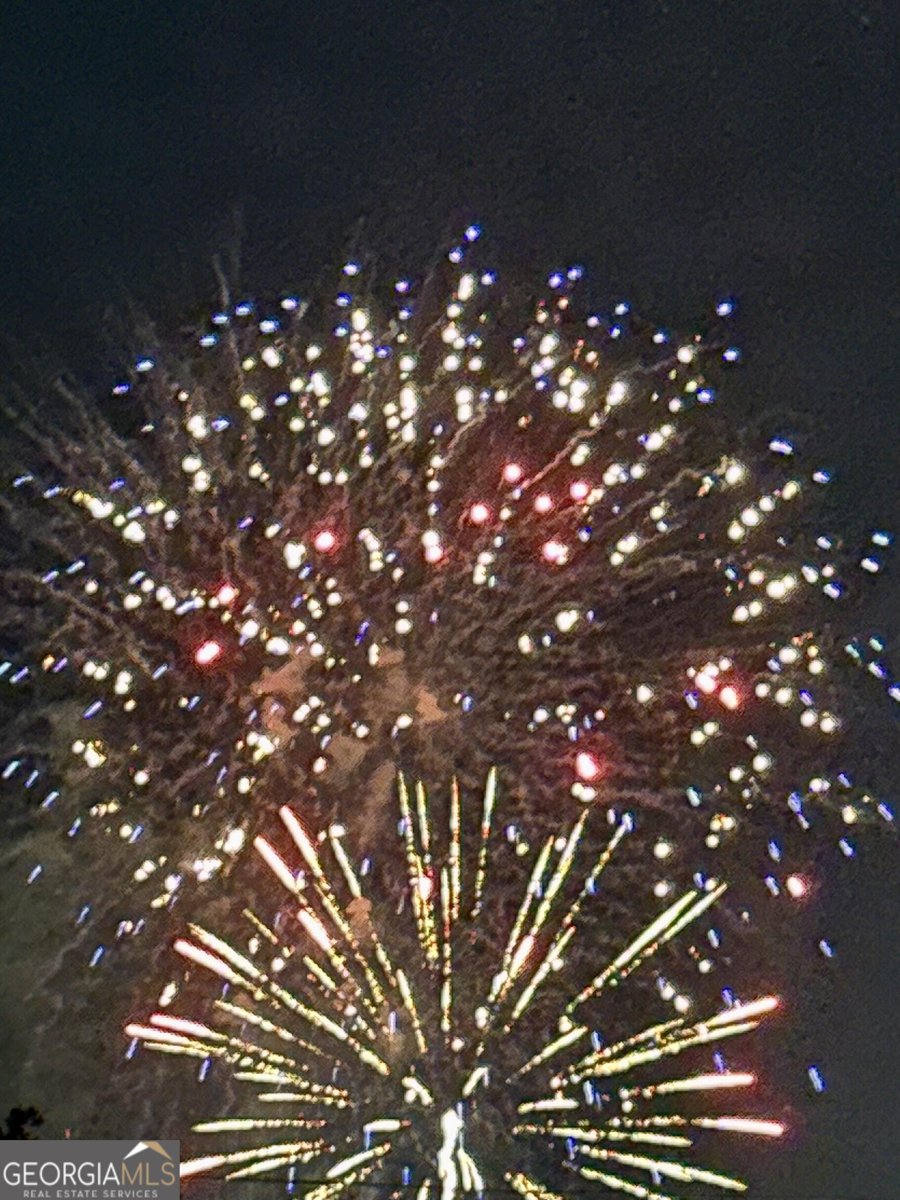 204 Liberty Street Savannah - Photo 64