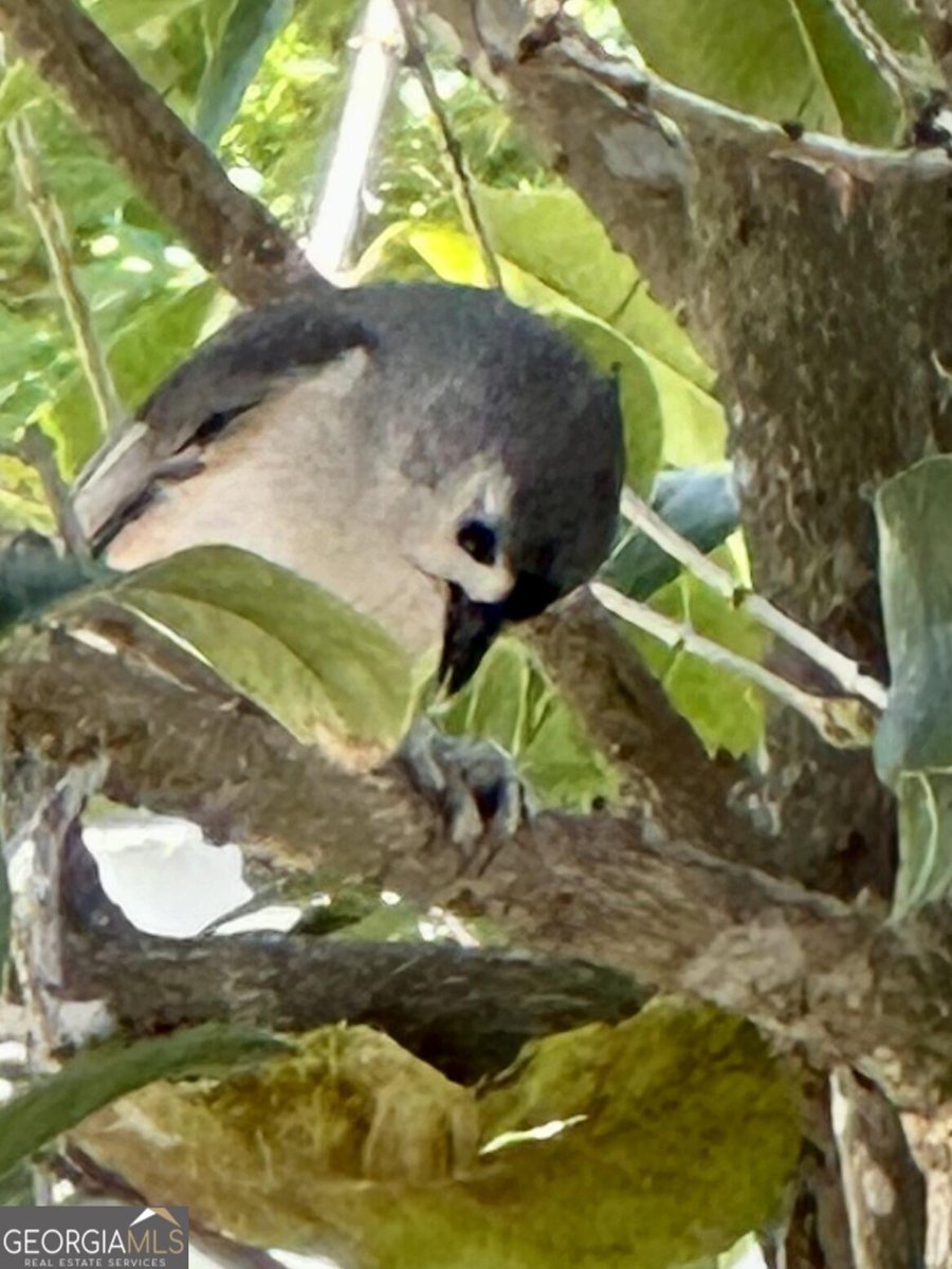 204 Liberty Street Savannah - Photo 71