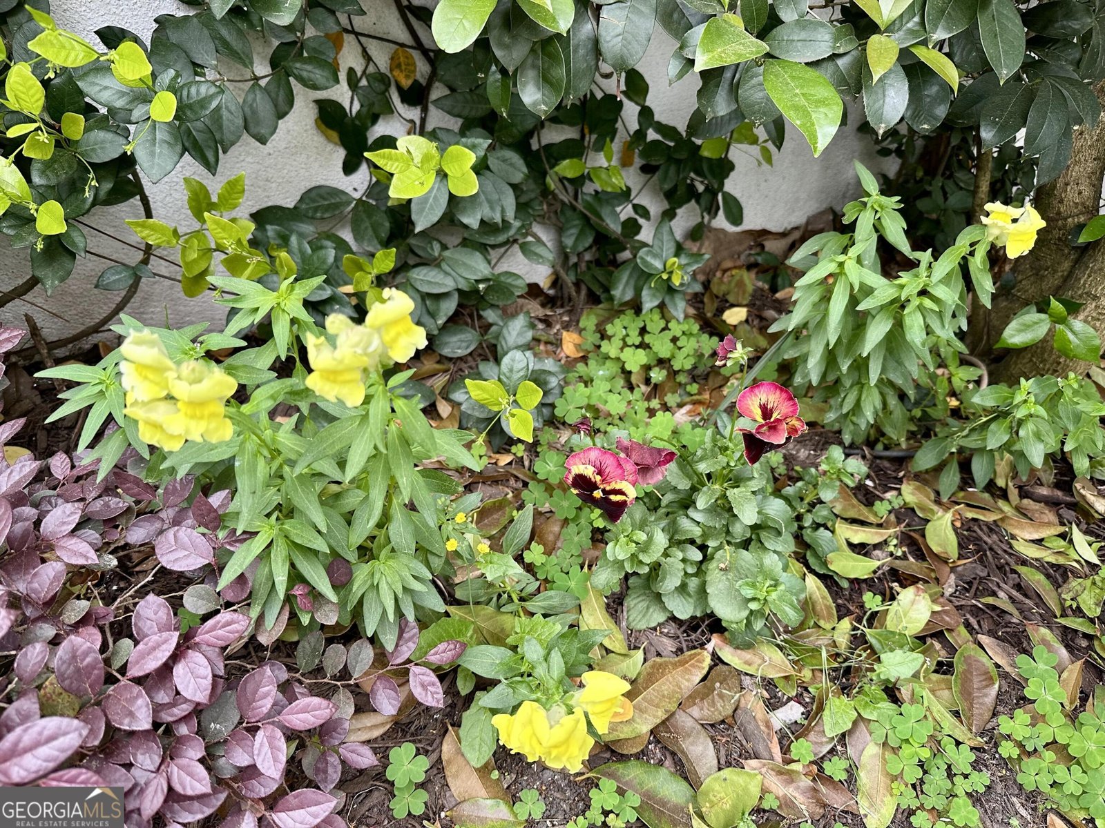 204 Liberty Street Savannah - Photo 72