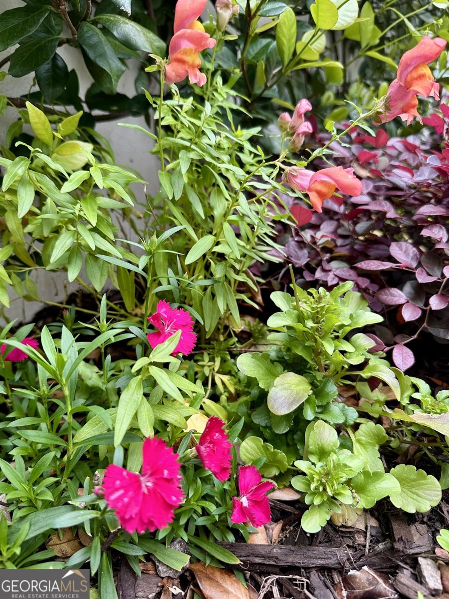 204 Liberty Street Savannah - Photo 73