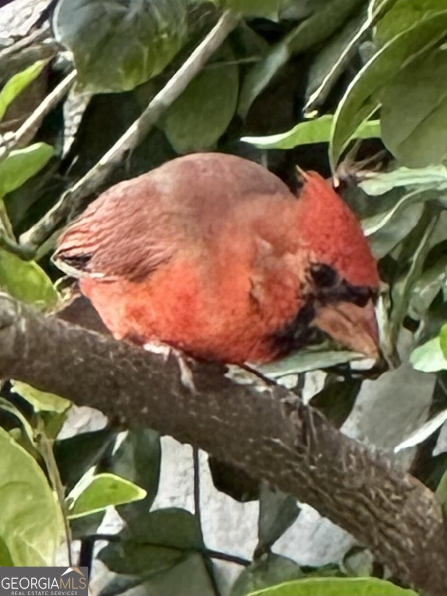 204 Liberty Street Savannah - Photo 74