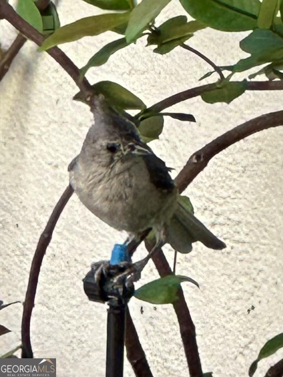 204 Liberty Street Savannah - Photo 75