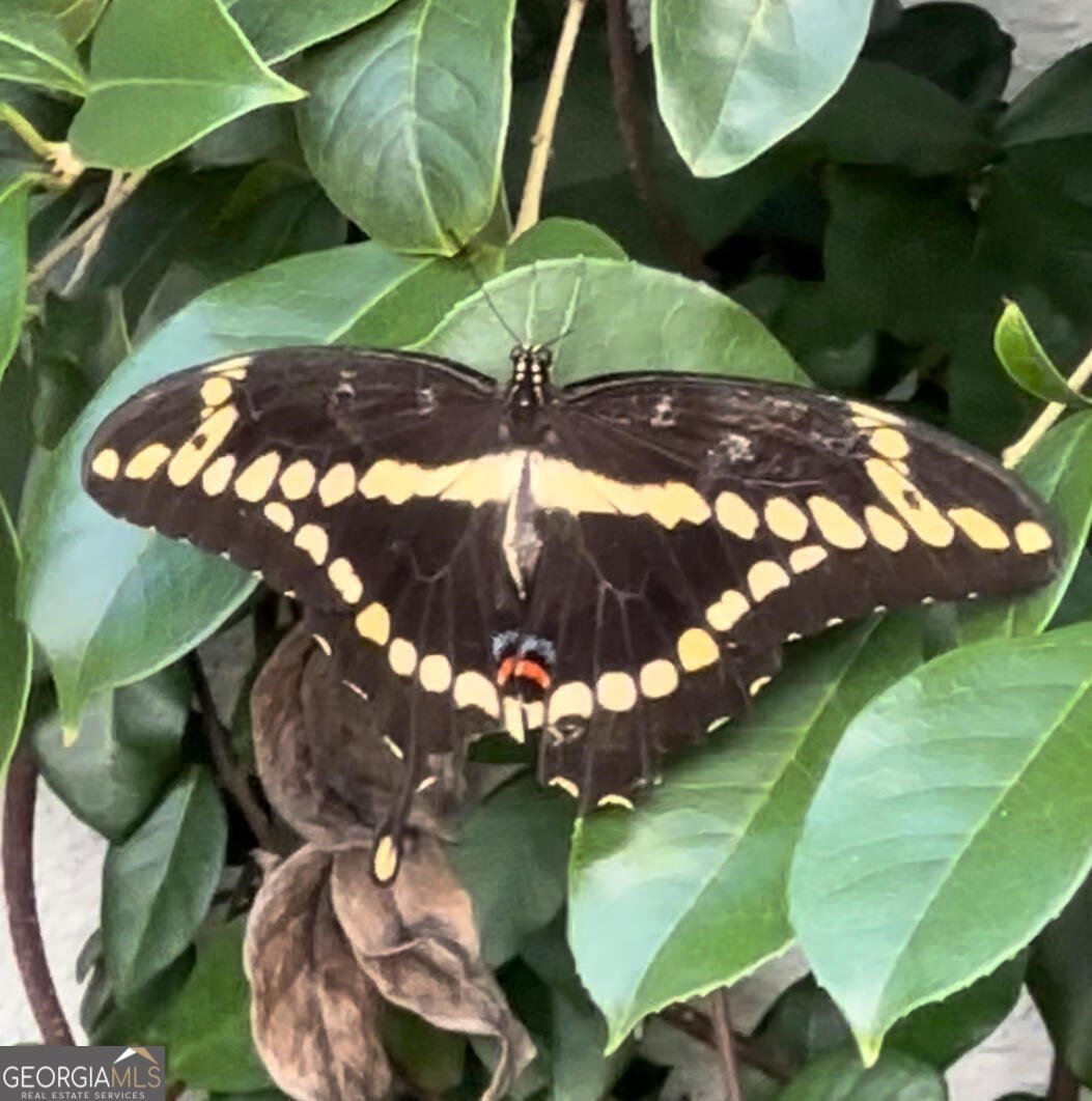 204 Liberty Street Savannah - Photo 76