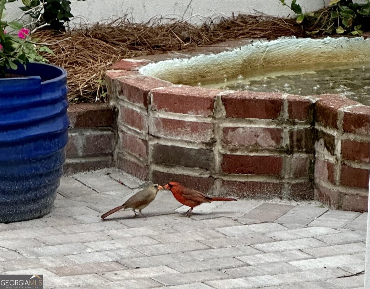 204 Liberty Street Savannah - Photo 78