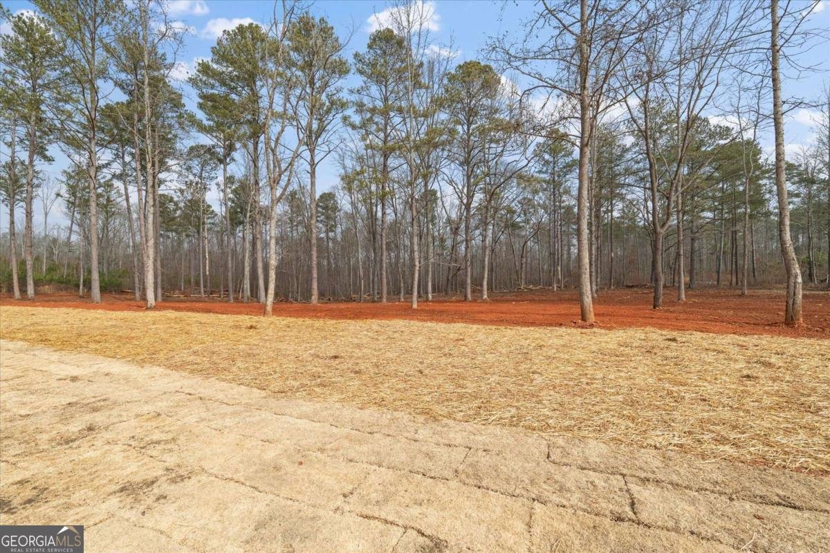 415 Lively Road Waco - Photo 45