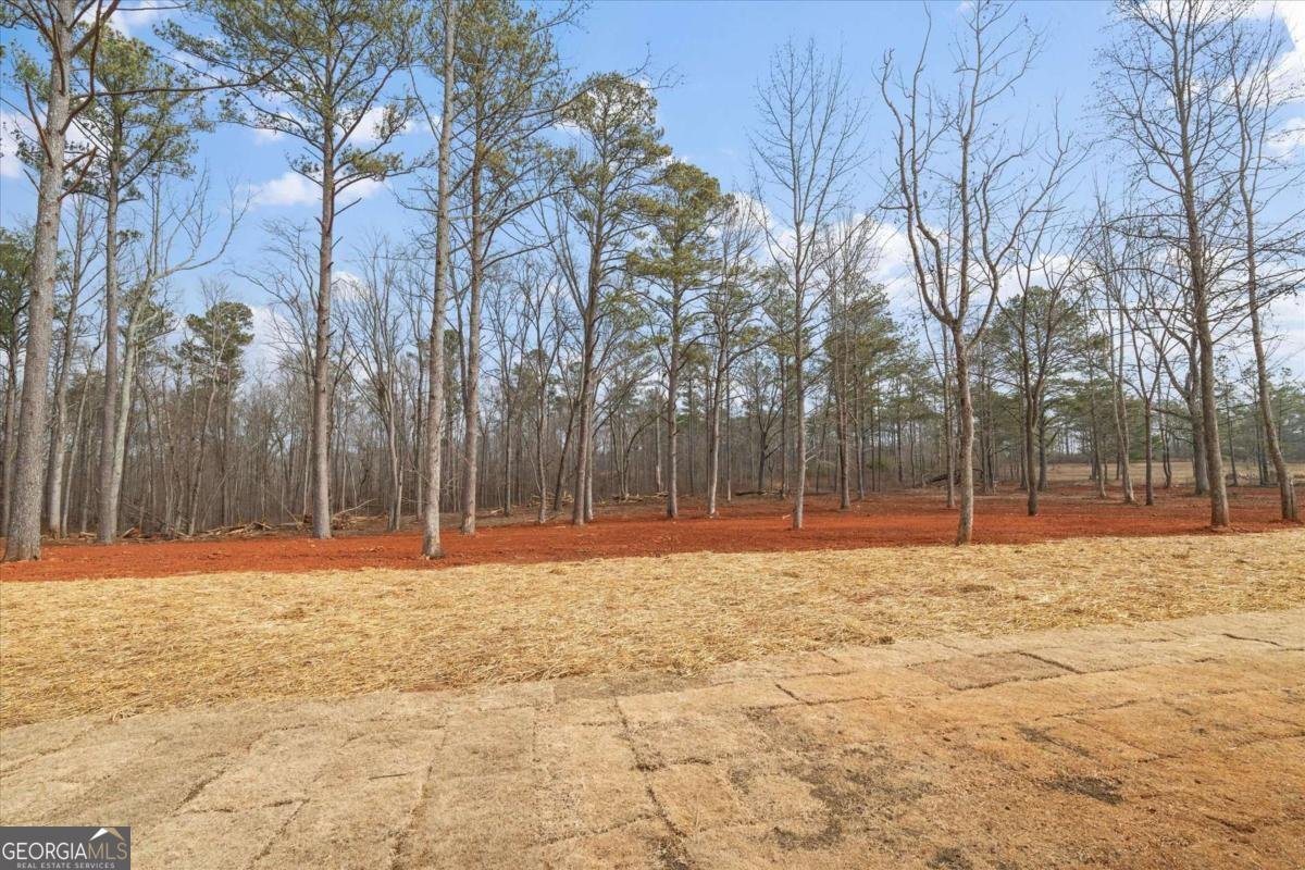 415 Lively Road Waco - Photo 46