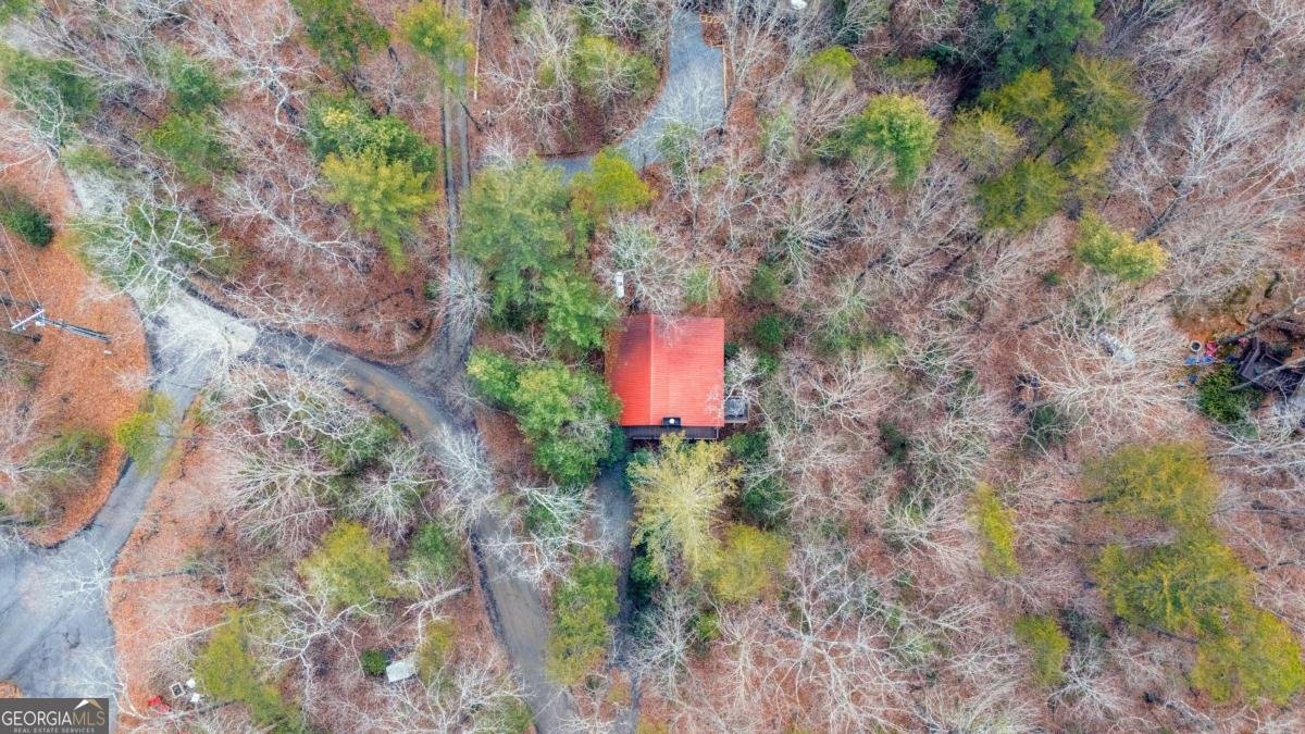 1165 Little Bushy Head Road Blue Ridge - Photo 27