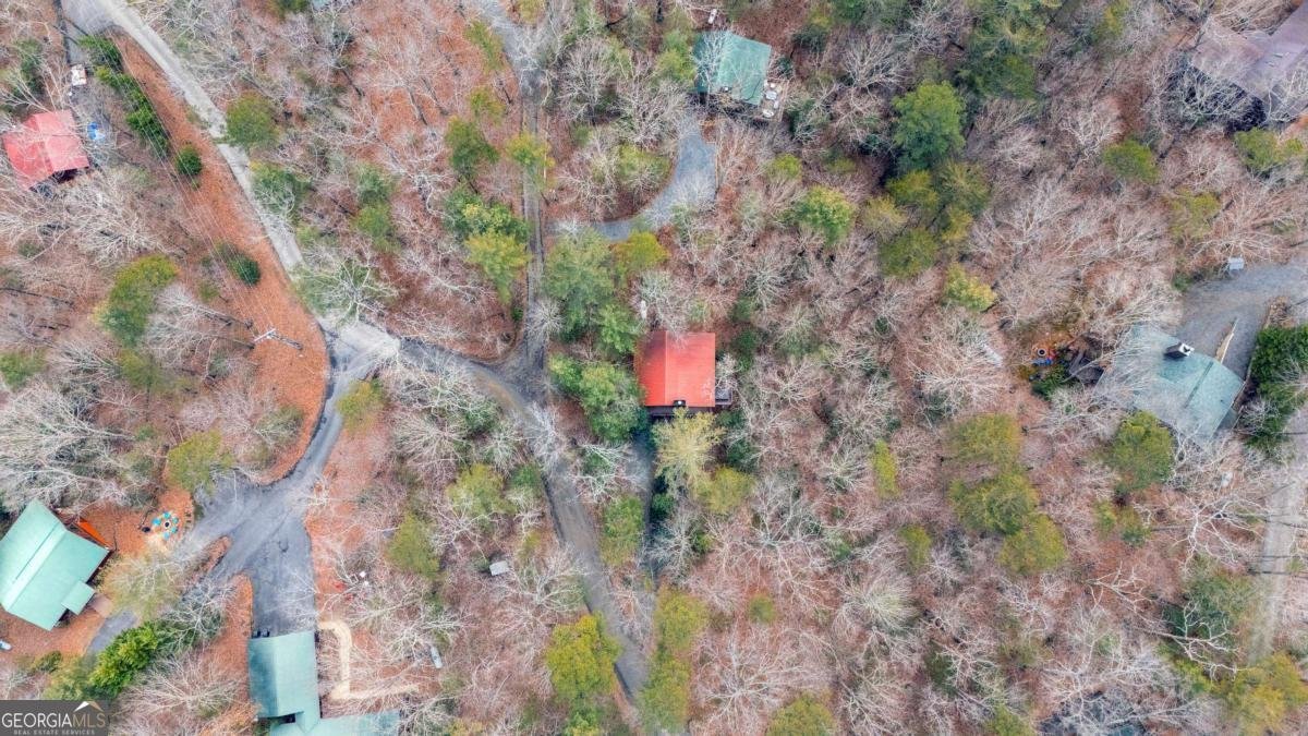 1165 Little Bushy Head Road Blue Ridge - Photo 28