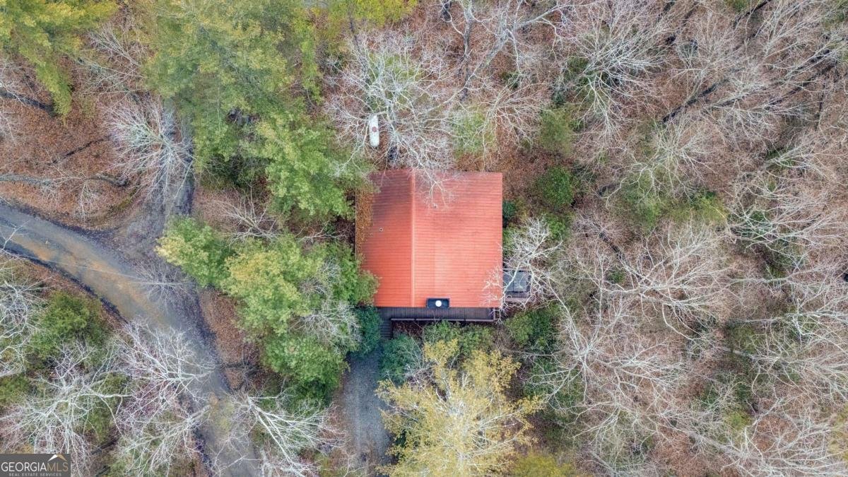 1165 Little Bushy Head Road Blue Ridge - Photo 30