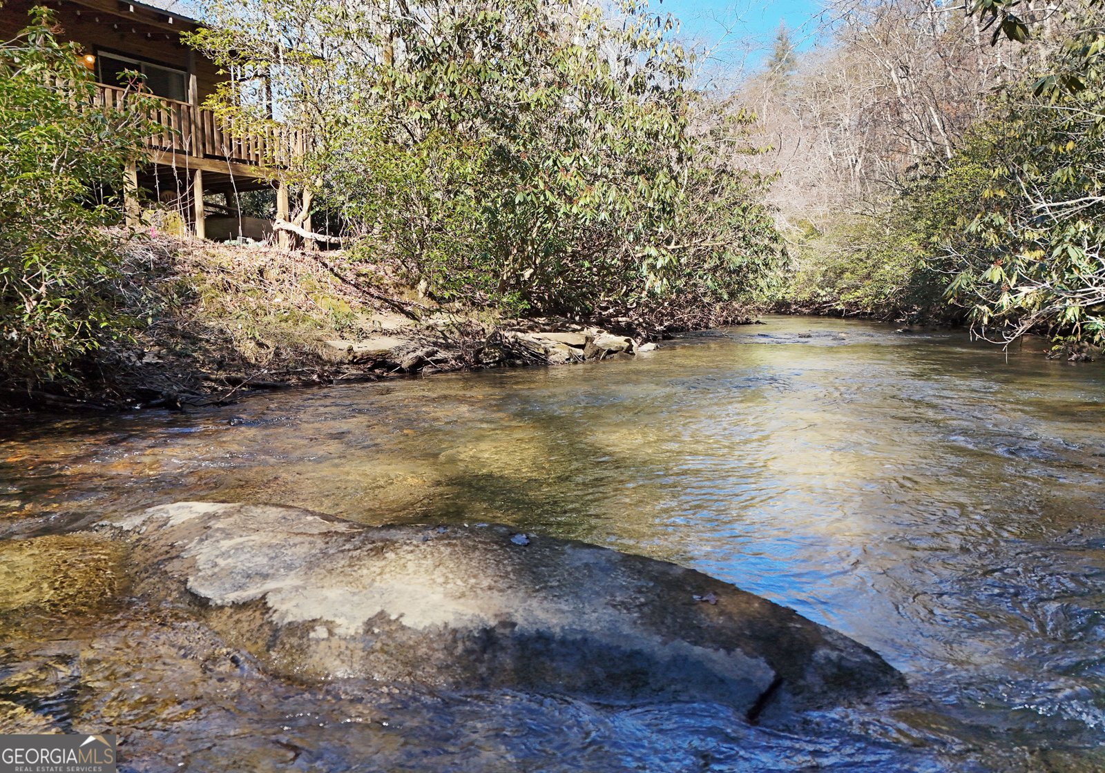 150 Donna Lee Lane Mineral Bluff - Photo 1