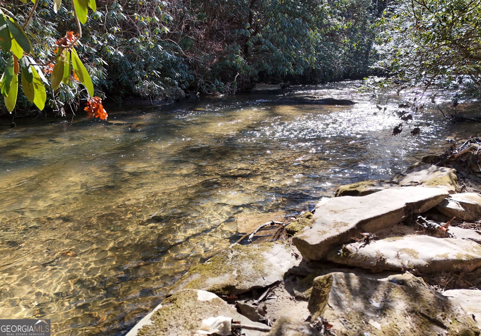 150 Donna Lee Lane Mineral Bluff - Photo 10