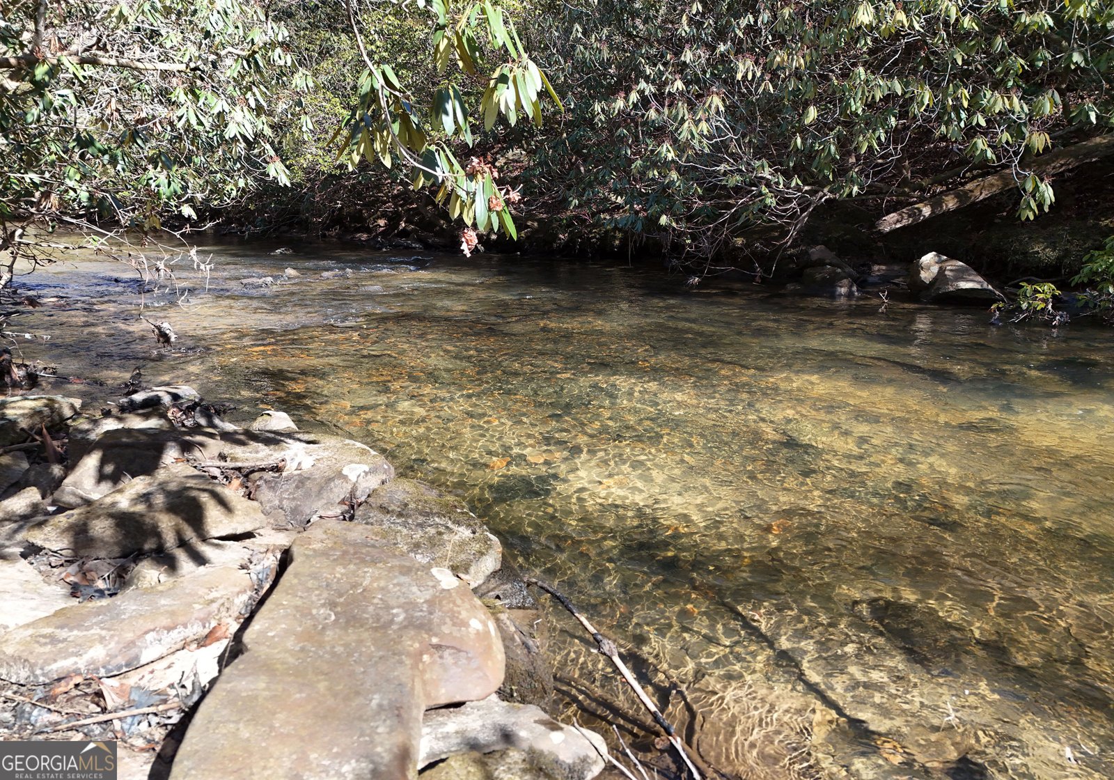 150 Donna Lee Lane Mineral Bluff - Photo 9