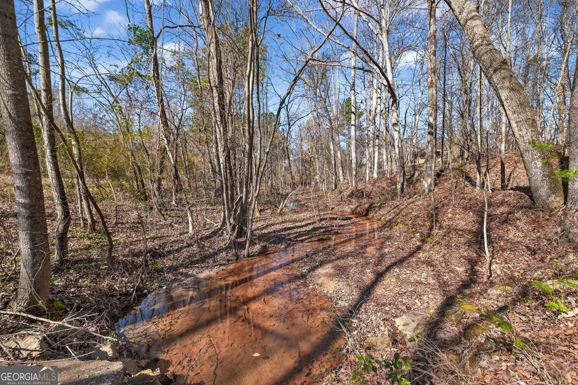 335 Jones Road Jefferson - Photo 59