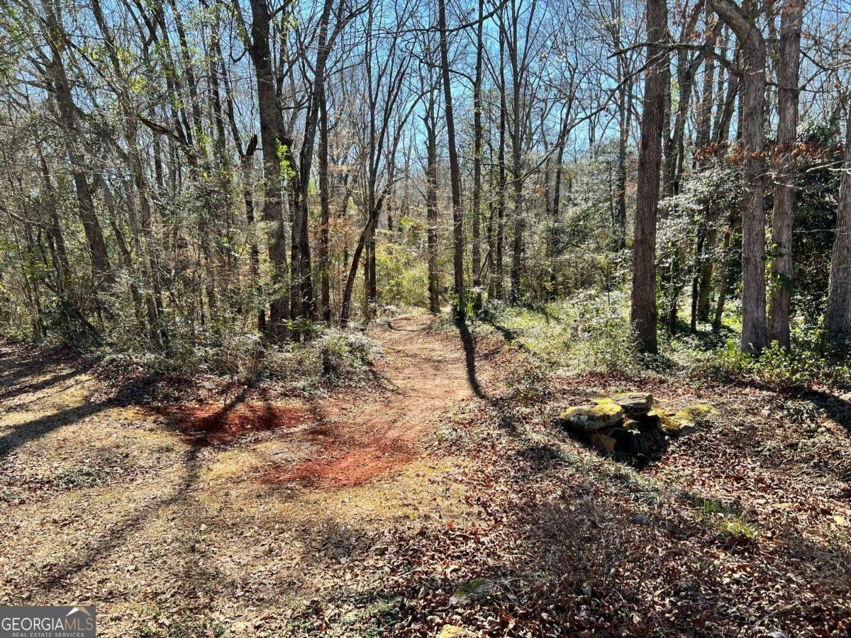 1020 Barnett Place Athens - Photo 42