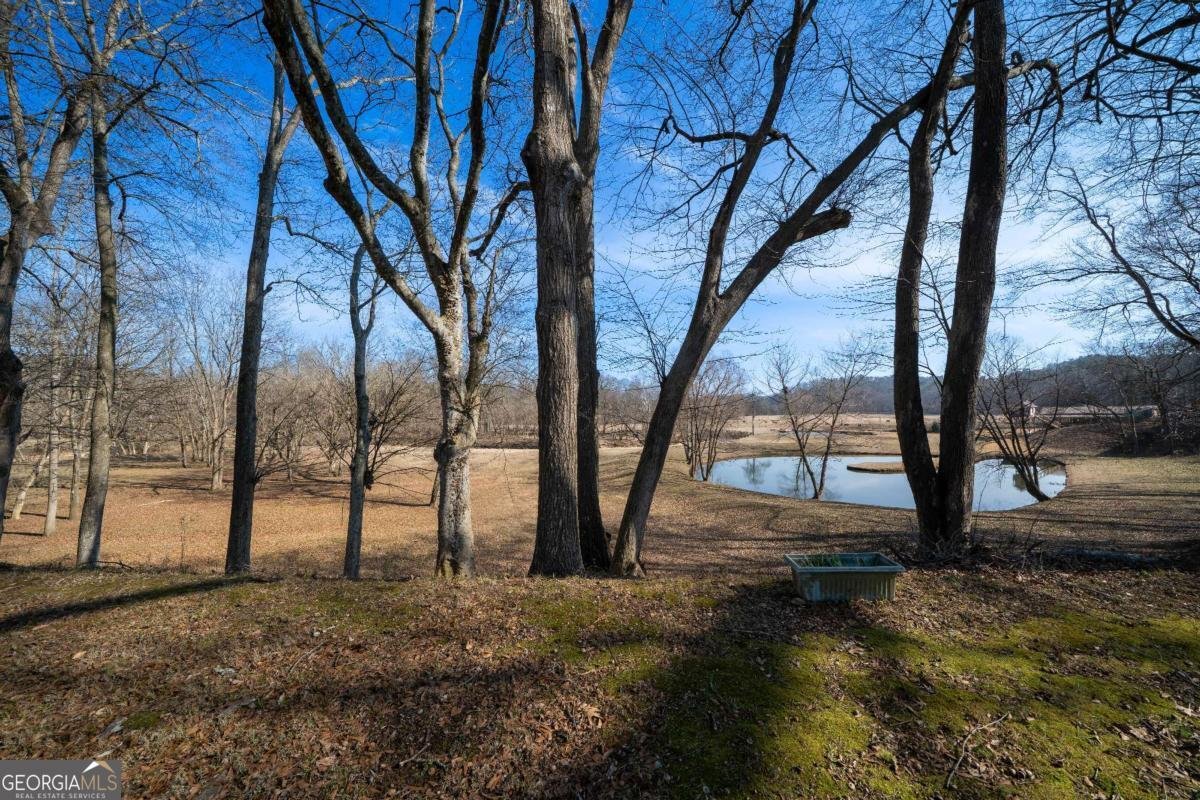 227 Bates Road Cartersville - Photo 52