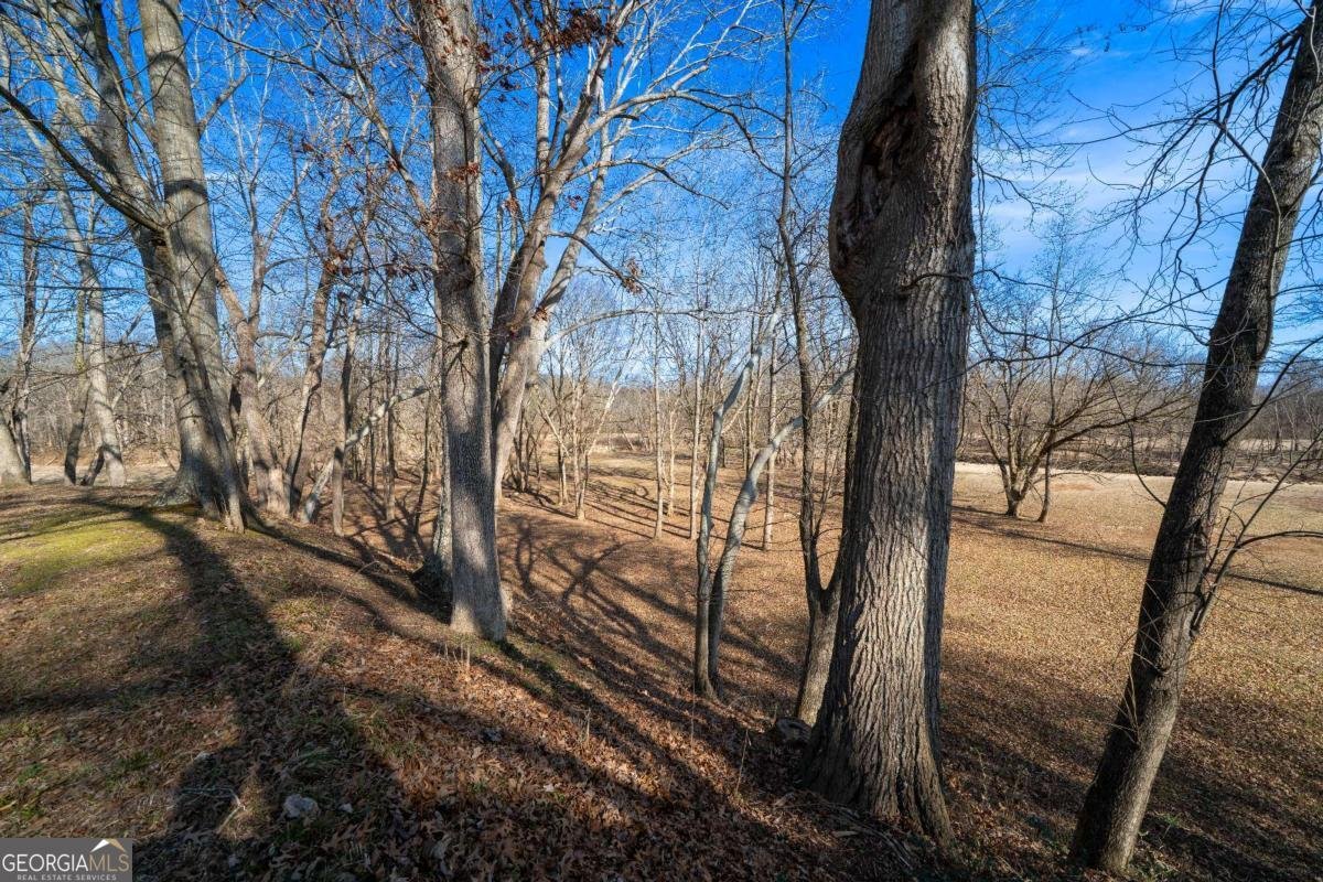 227 Bates Road Cartersville - Photo 53