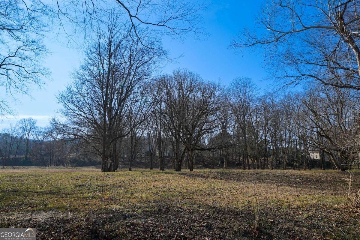 227 Bates Road Cartersville - Photo 58