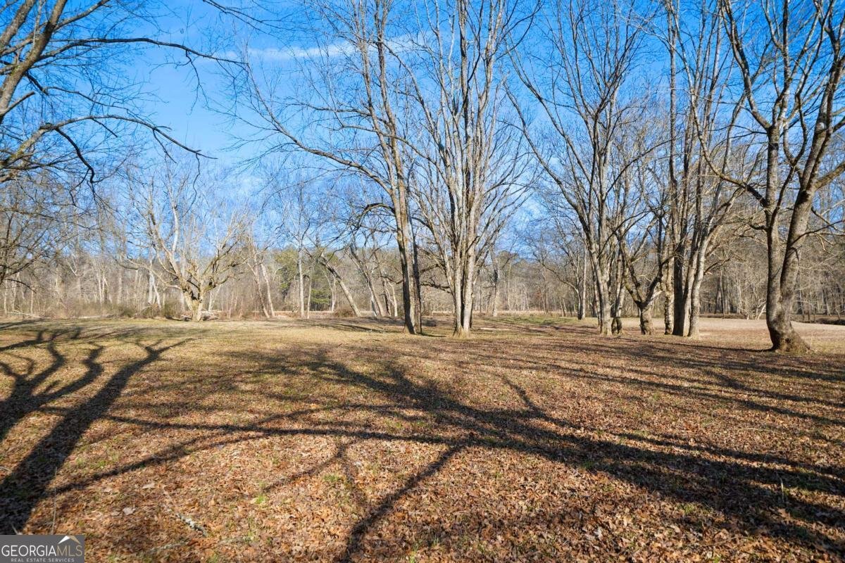 227 Bates Road Cartersville - Photo 59