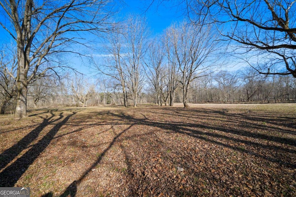 227 Bates Road Cartersville - Photo 60